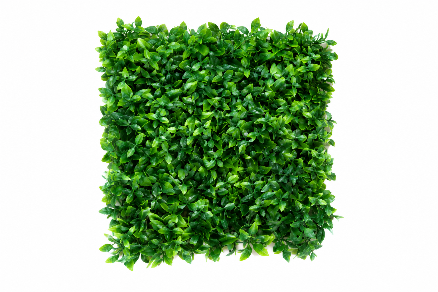 گرین وال مانا 50*50 تراکم بالا و رنگ طبیعی